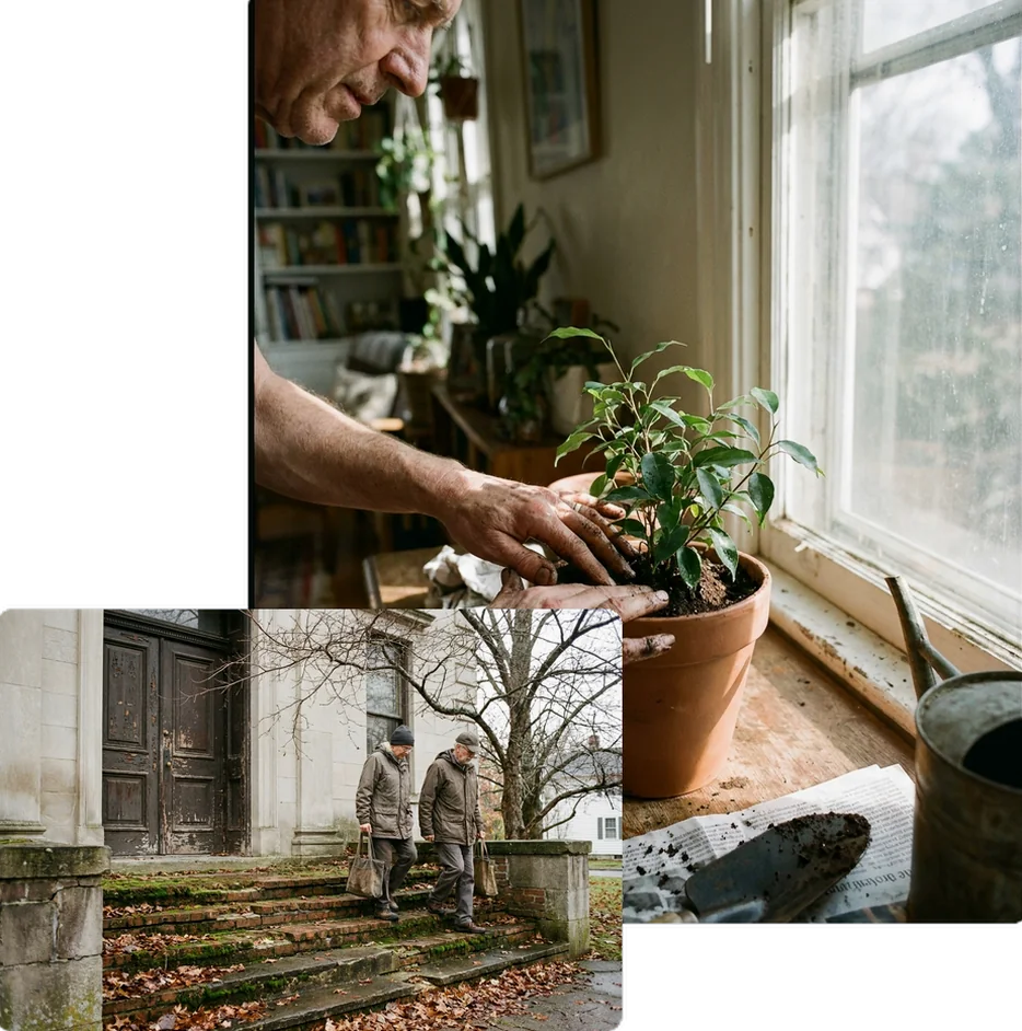 Hands repotting a plant together on a sunny windowsill.